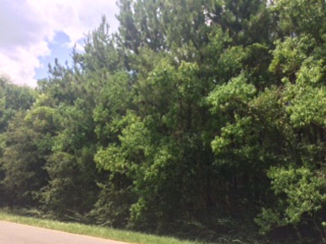 2nd image of 875 Harden Ln