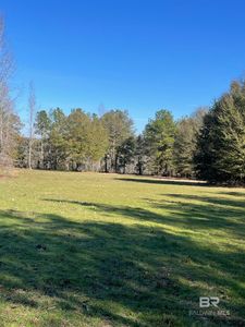 529 Sand Bottom Rd, Peterman, AL, 36471
