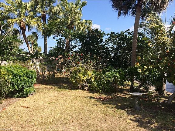 Back yard facing North.