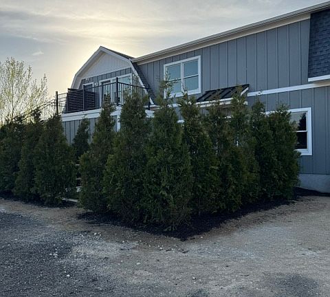 3rd image of 6955 Main Rd #3