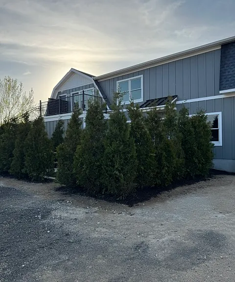 6955 Main Rd #3 — Photo 3