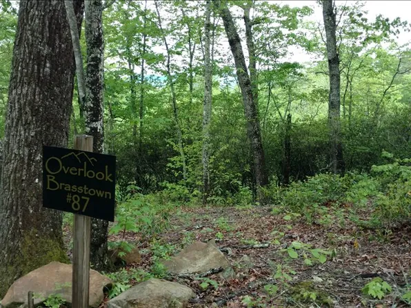 LOT 87 Brasstown Vw, Brasstown, NC 28902