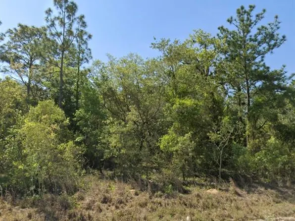 TBD NE 130TH AVENUE LOT 3, WILLISTON, FL 32696