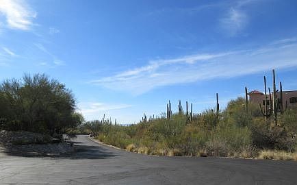 4th image of 7440 N Placita Mia