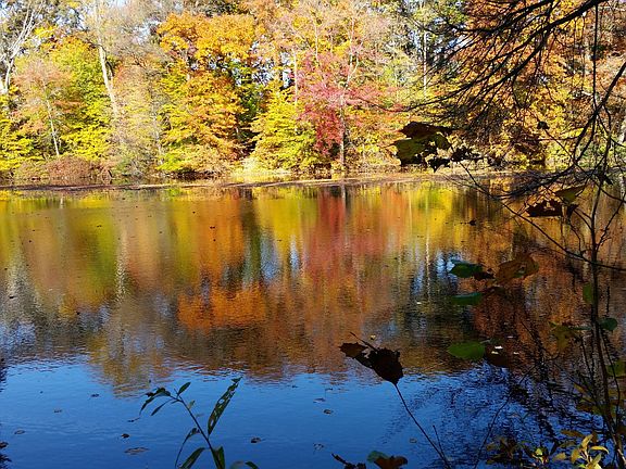 Hopkins Pond - 2 minute walk.