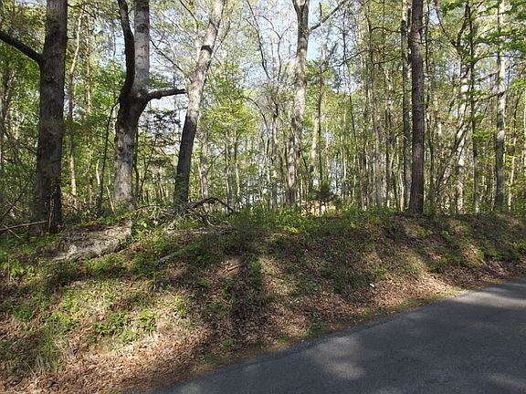 3rd image of 0 Scenic Lakeview Dr Lot 186