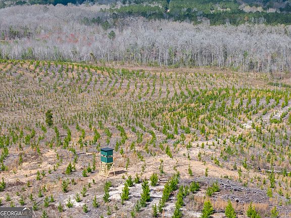 3rd image of 3 Laurel Branch Rd