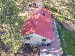 52 Little Spring Ln, Bailey, CO 80421