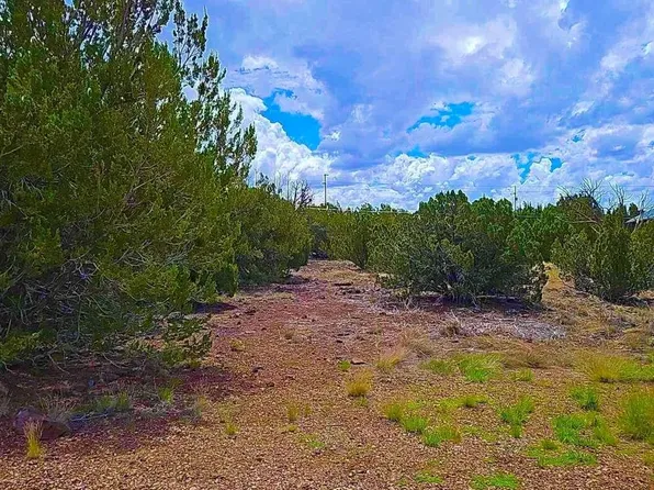 1903 Ponce Pl, Show Low, AZ 85901