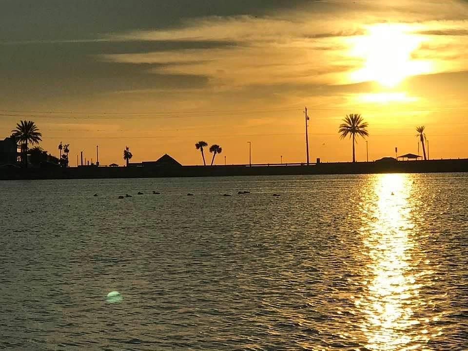1st image of 1602 Bayou Shore Dr