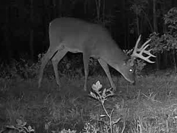 35th image of this home