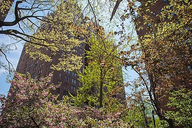 Rented by R New York