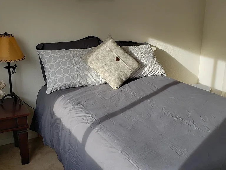 824 Rabbit Run Dr — Photo 10