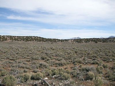 North/West View from Lot