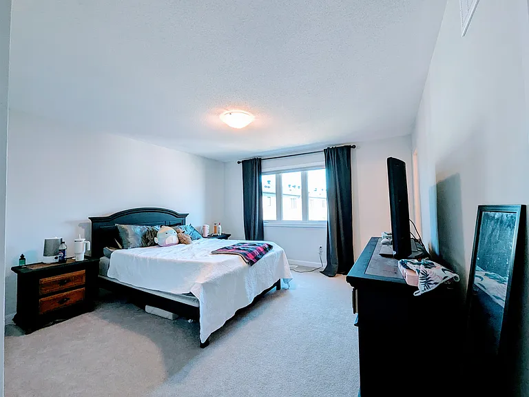 229 Shallow Pond Pl — Photo 4