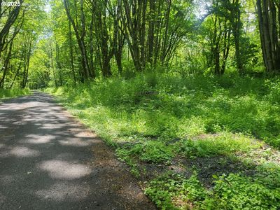 16-17 Bonneville Dr, Scappoose, OR, 97056