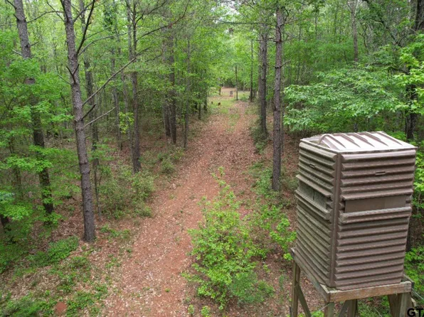 County Road 120c, San Augustine, TX 75972