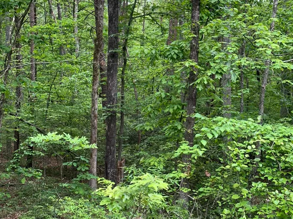 0 Harbor Dr, Orange, VA 22960