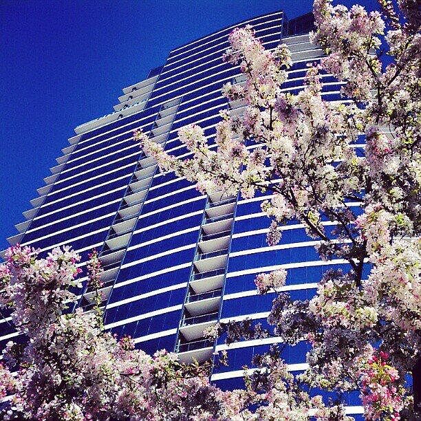 1st image of 335 Bridge St NW APT 2301