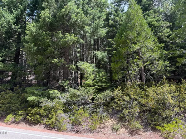 Mount Ashland Ski Rd, Ashland, OR 97520