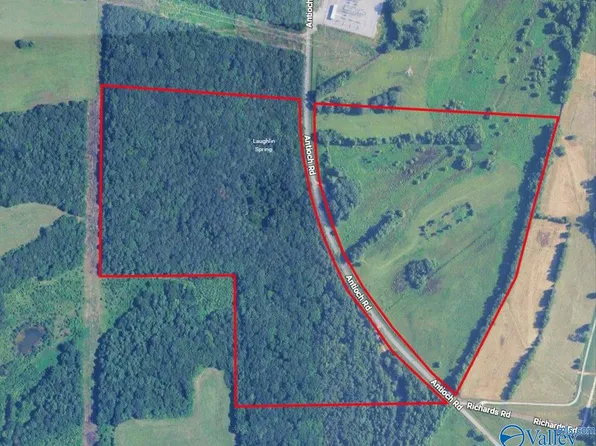1990 Antioch Rd, Somerville, AL 35670