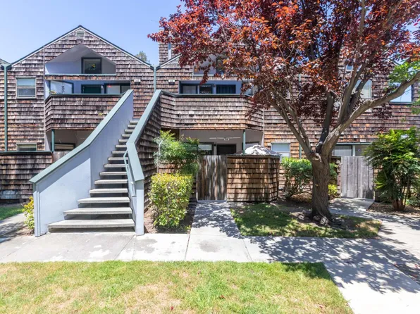 446 Bolinger Cmn, Fremont, CA 94539