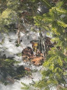 Lot 8 Forest Avenue, Machias, ME, 04654
