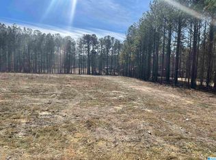 89 Golden Pond Rd #9, Ashville, AL 35953