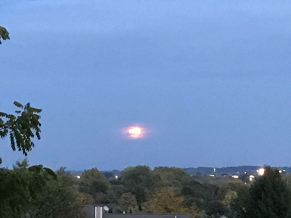 Moon rising back yard