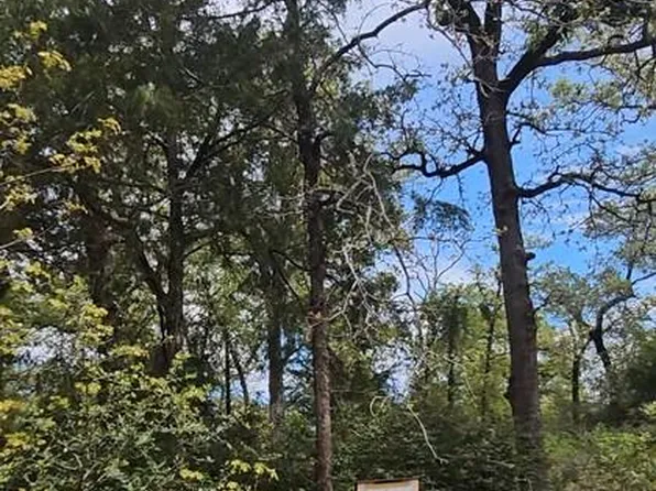 County Road 308, Caldwell, TX 77836