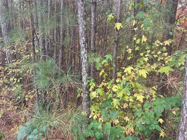 126 Spring Lake Trl #70, White, GA 30184