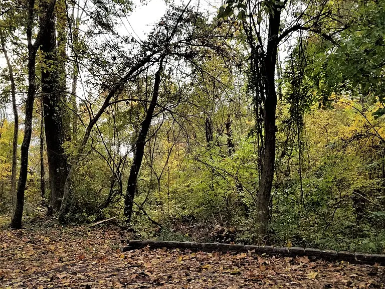 B - The Glade — Photo 14