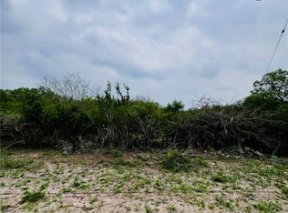 Highway 359, Orange Grove, TX 78372