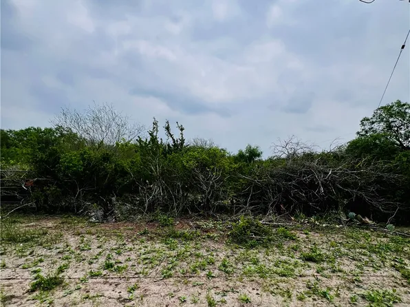 Highway 359, Orange Grove, TX 78372