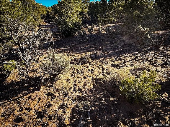 3rd image of 00 Paine Road N