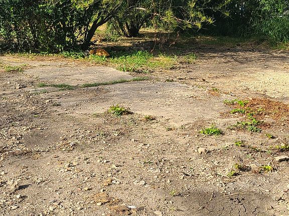 4th image of 2219 W MARTIN ST LOT S