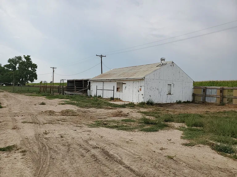 17234 County Road 80 — Photo 21