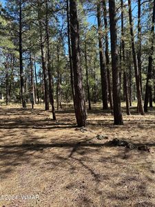 S Pine Meadow Ln, Pinetop, AZ, 85935