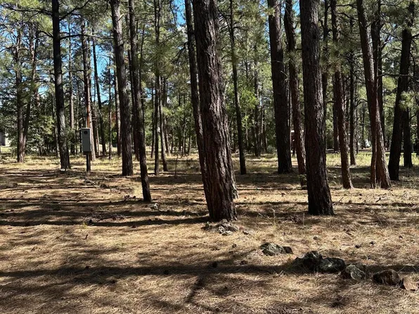 S Pine Meadow Ln, Pinetop, AZ 85935