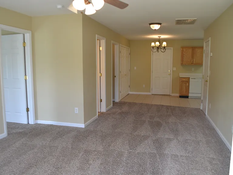 355 Pinewood Dr — Photo 4