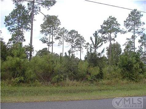 4th image of 149 Palm Breeze Way
