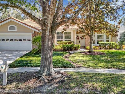 17853 Green Willow Dr, Tampa, FL, 33647