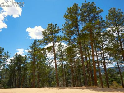 2360 Wakonda Way, Monument, CO, 80132