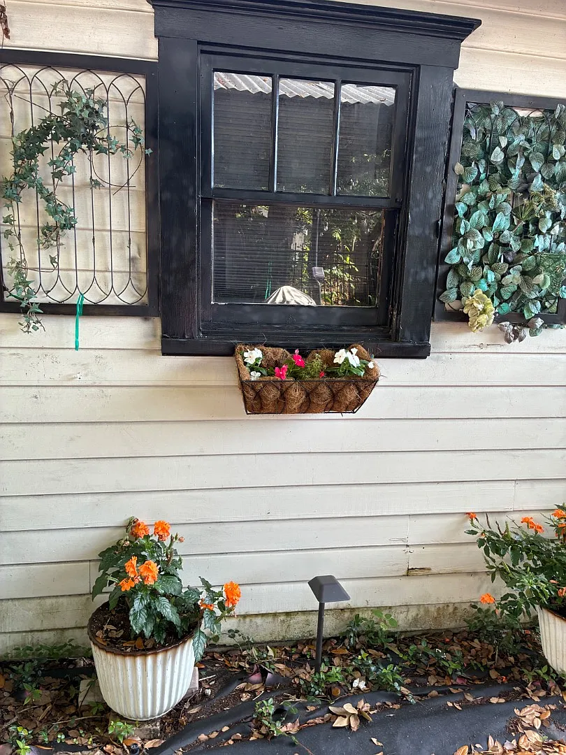 407 N Shine Ave - 407 N Shine — Photo 3