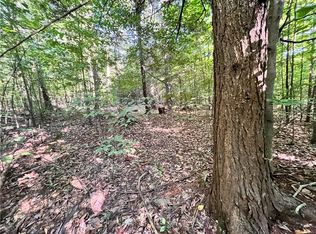 LOT 3 Lockwood Run Rd E LOT 3, Lockwood, NY 14859