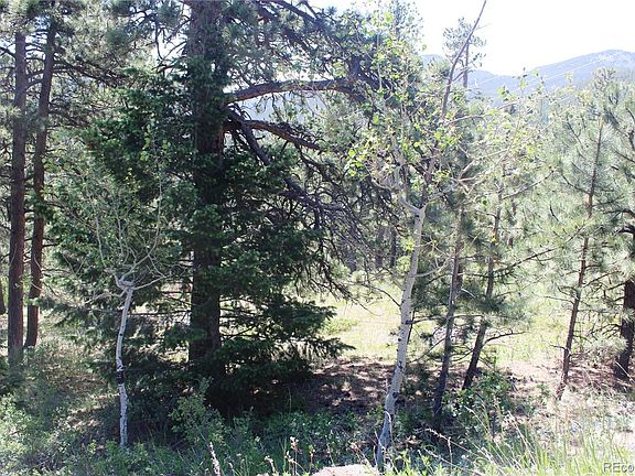 5th image of 11702 Overlook Drive LOT 1&2