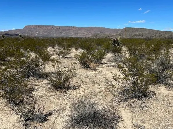 31466 Ringtail North Tract, Terlingua, TX 79852