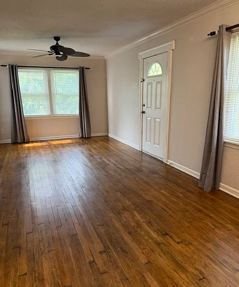 bright, light-filled living room