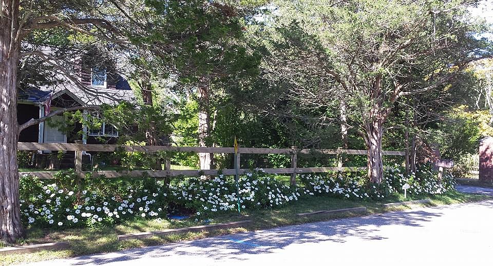 1st image of 28 Penny Ln