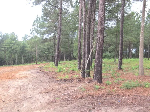 50 Tillery Pl, Ellisville, MS 39437